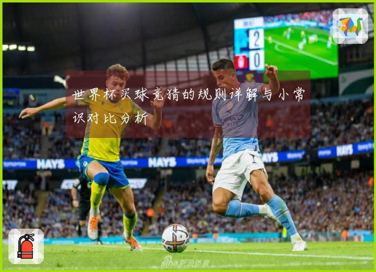 世界杯买球竞猜的规则详解与小常识对比分析