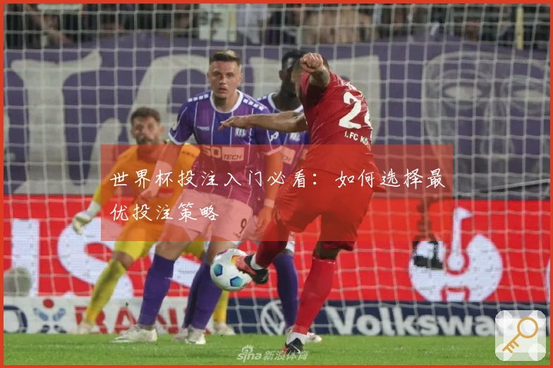 世界杯投注入门必看：如何选择最优投注策略