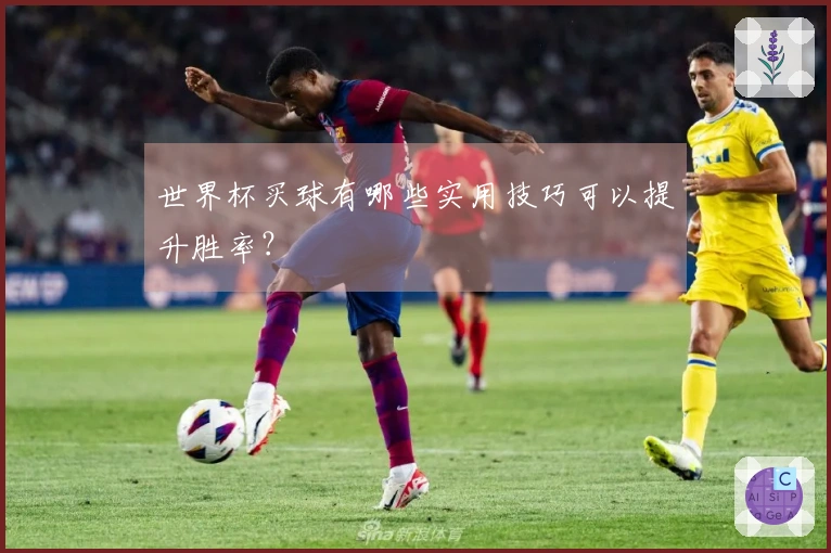 世界杯买球有哪些实用技巧可以提升胜率？