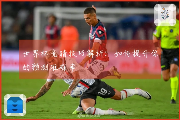 世界杯竞猜技巧解析：如何提升你的预测准确率