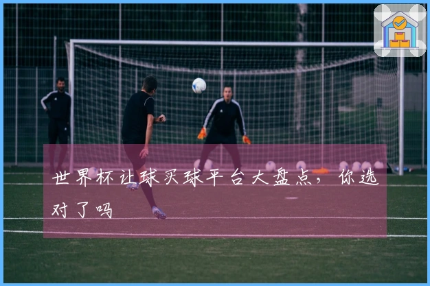 世界杯让球买球平台大盘点，你选对了吗