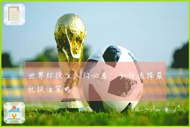 世界杯投注入门必看：如何选择最优投注策略
