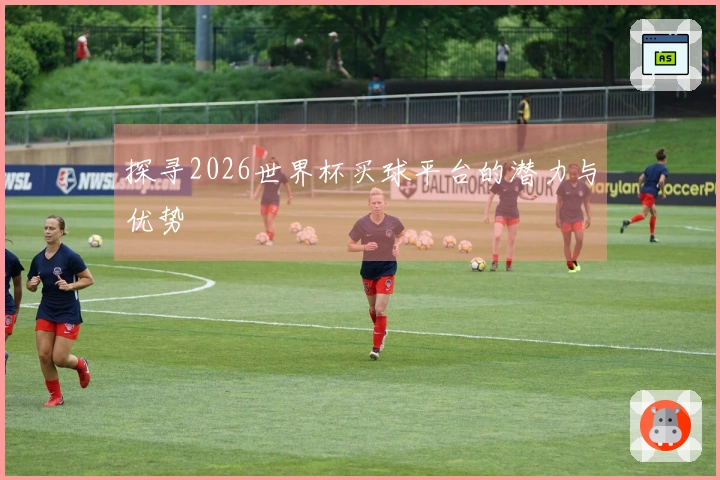 探寻2026世界杯买球平台的潜力与优势