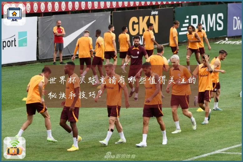 世界杯买球竞猜有哪些值得关注的秘诀和技巧？
