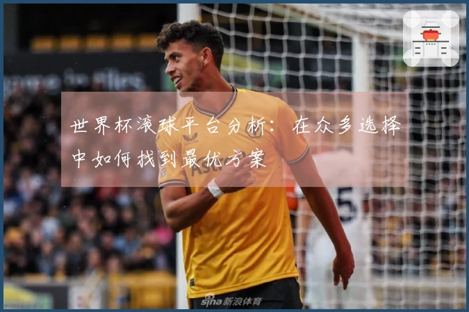 世界杯滚球平台分析：在众多选择中如何找到最优方案