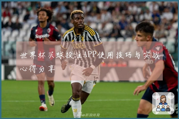 世界杯买球投注APP使用技巧与实战心得分享