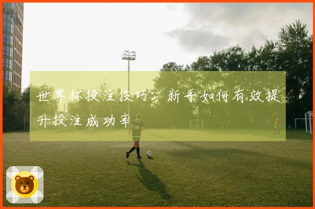 世界杯投注技巧：新手如何有效提升投注成功率