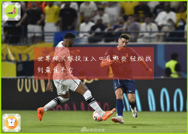 世界杯买球投注入口有哪些 轻松找到最佳平台