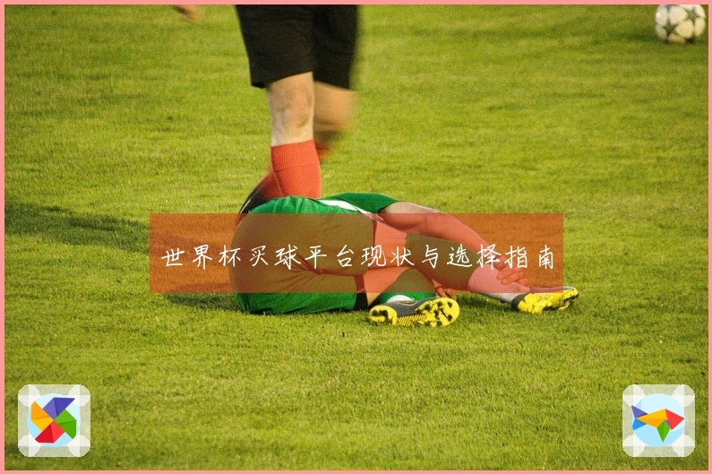 世界杯买球平台现状与选择指南
