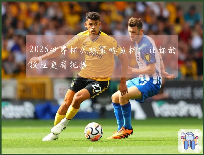 2026世界杯买球策略分析：让你的投注更有把握