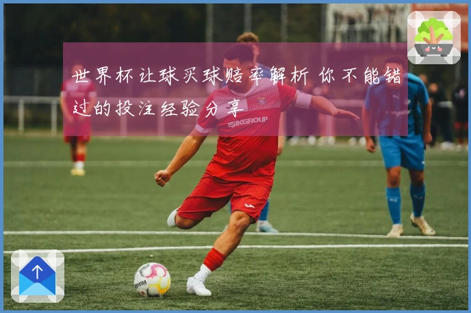 世界杯让球买球赔率解析 你不能错过的投注经验分享
